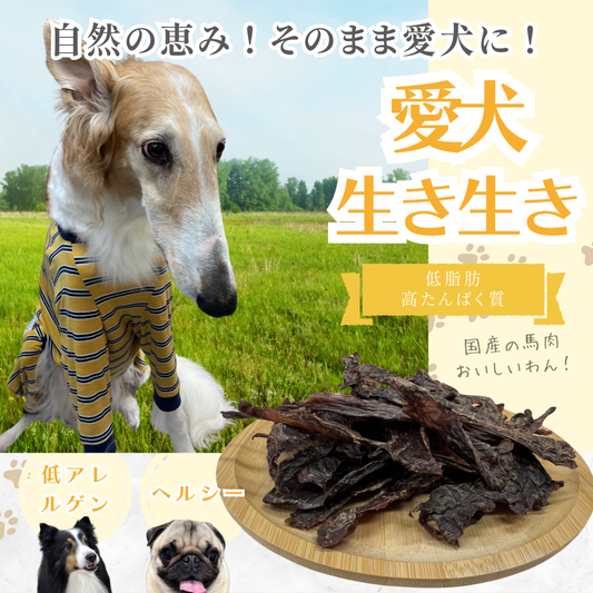 国産 無添加 馬肉ジャーキー 犬用おやつ 小型犬〜大型犬対応 グルテンフリー・低アレルゲン 低脂肪 トレーニングに最適 ヒューマングレード 80g