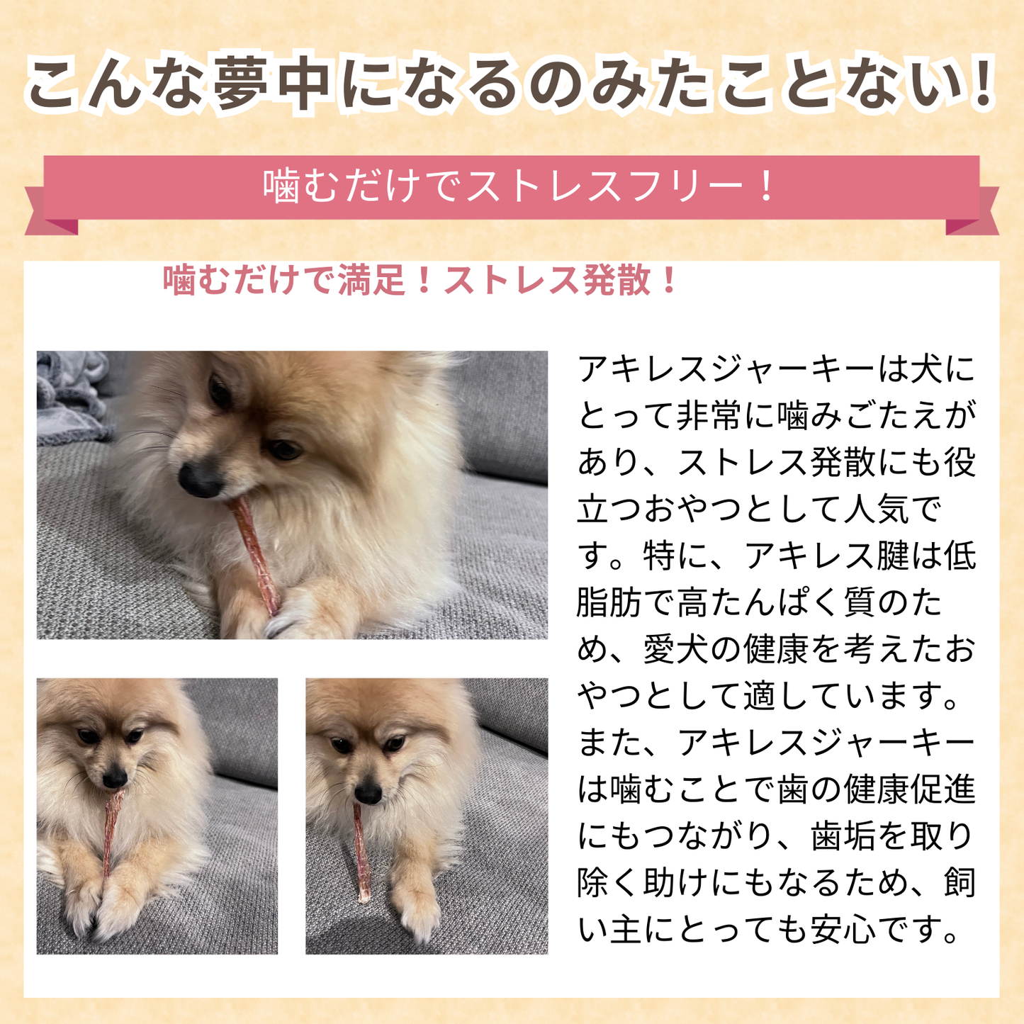 馬アキレスジャーキー 120ｇ