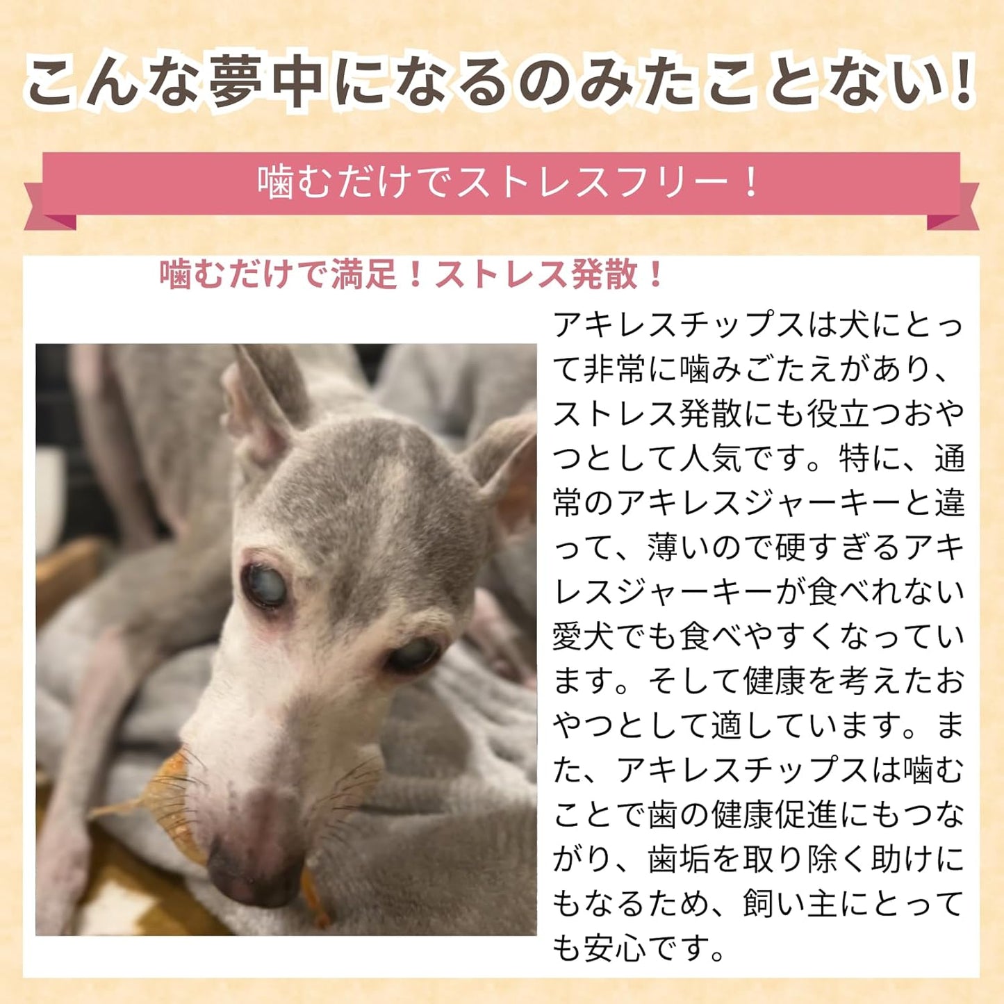 無添加  馬肉アキレスチップス ウルグアイ