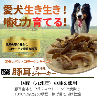 国産 無添加 豚 耳 ジャーキー 太切り 無添加