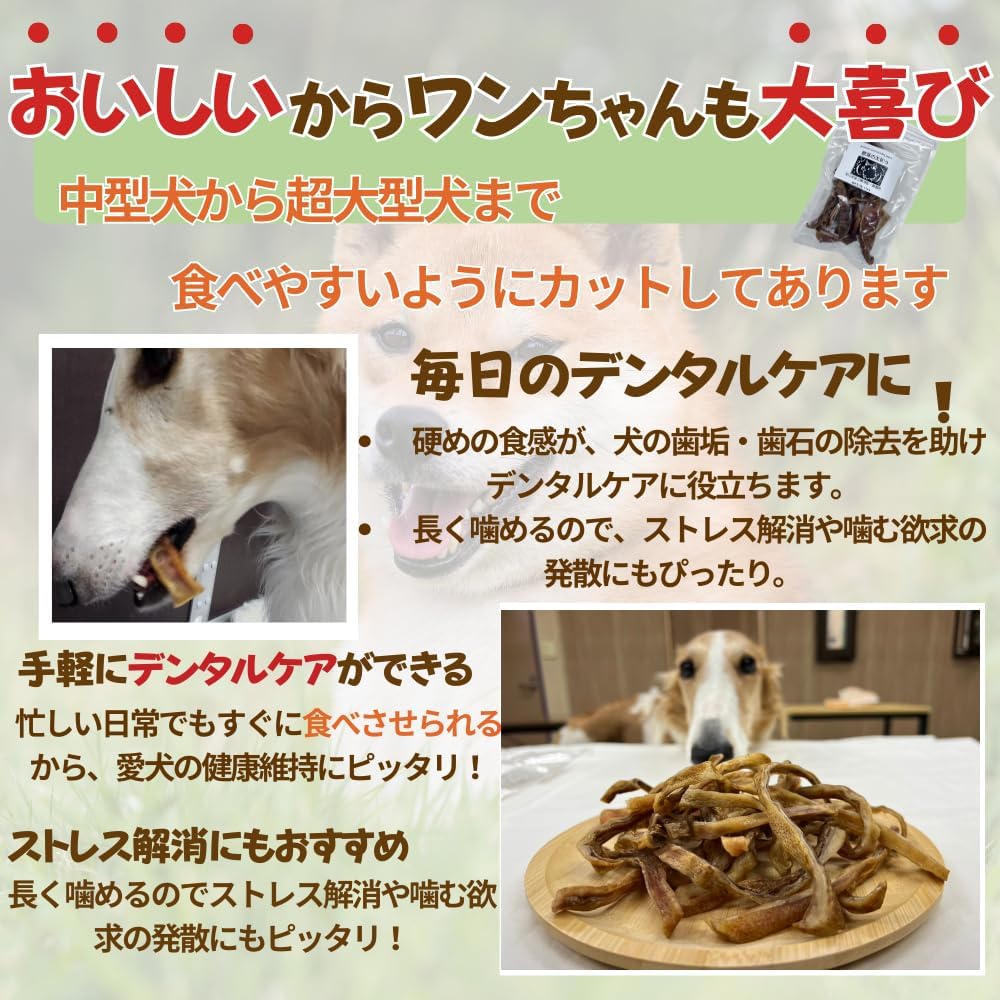 国産 無添加 豚 耳 ジャーキー 太切り 無添加