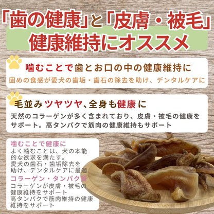 国産 無添加 豚 耳 ジャーキー 太切り 無添加