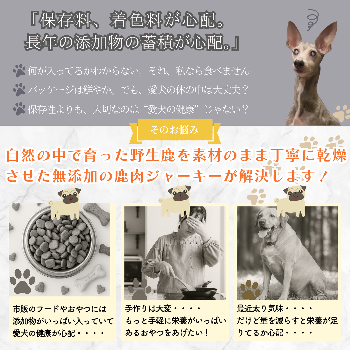 国産 無添加 馬肉ジャーキー 小割犬用おやつ 小型犬〜大型犬対応 グルテンフリー・低アレルゲン 低脂肪 トレーニングに最適 ヒューマングレード 80g